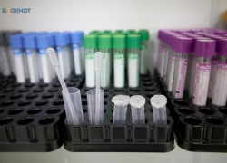 Ставропольских туристов предупредили о риске заразиться лихорадкой денге