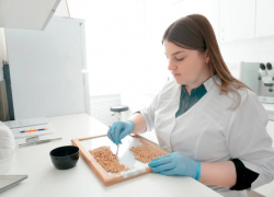 Подготовка к посевной: что важно учесть ставропольским аграриям перед закладкой урожая