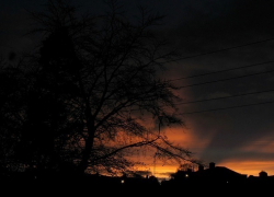 Школьник украл у женщины сумочку в Курсавке