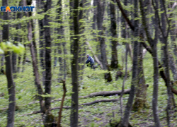 Погода в Ставрополе 1 апреля: природа тоже решила пошутить