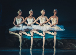 Проектные амбиции Ставрополья: опера, Диснейленд, полеты в Европу и китайские авто