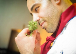 15% всех российских специй выращивают в Ставропольском крае