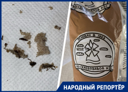 Дохлую муху обнаружила ставропольчанка в купленном хлебе