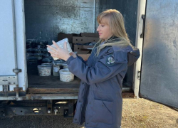 Почти полтонны сомнительной икры могли попасть на столы ставропольцев