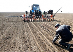 14 миллиардов рублей требуется аграриям на весеннюю посевную на Ставрополье 