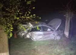 Двое парней погибли при столкновении с деревом на Ставрополье