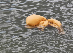 Спасатели на Ставрополье извлекли из канала утопленника со следами насильственной смерти