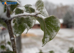 Похолодание до +2 градусов ночью и дождь пообещали ставропольцам в начале декабря 2025 года 