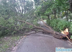 Группа вымогателей задержана на Ставрополье