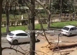  Огромное иссохшее дерево упало на машину в Пятигорске — пострадала женщина