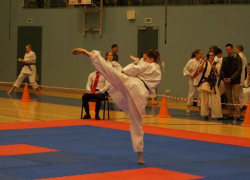 Открытое первенство по всестилевому карате пройдет в Ставрополе