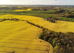 Ставропольские фермеры пожаловались президенту РФ на «земельную нервотрепку» от краевых властей