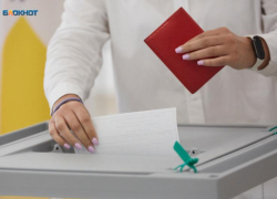 Рекордную явку в 81% показали выборы на Ставрополье