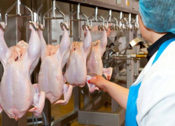 Ставропольское мясо птицы экспортируется в 35 стран мира 