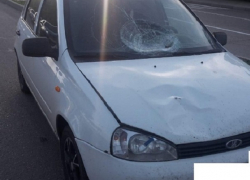 18-летняя студентка попала под "Ладу-Калину" на пешеходном переходе в Ставрополе