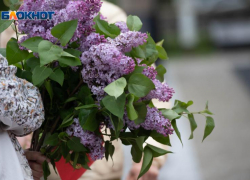 С ночного похолодания до +13 градусов начнется новая рабочая на Ставрополье 