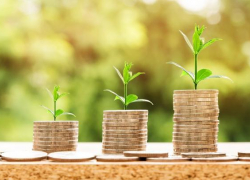 Инфляция не успевает за ростом зарплат ставропольских аграриев