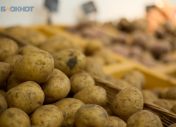 Свекла за 71 рубль и картофель за 96 рублей: овощной набор снова подорожал на Ставрополье 