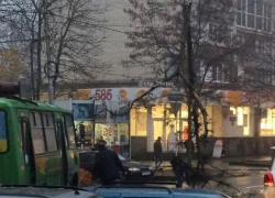 Рухнувшее дерево повисло на проводах над дорогой и попало на видео в Ставрополе 