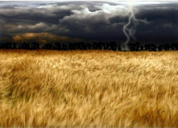 Стихия опять движется на Ставрополье