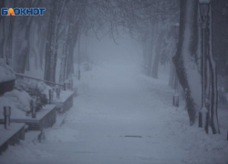 Ставрополь стал самым бесснежным городом по России за последние 12 лет