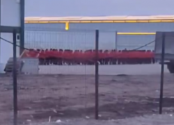 «Игра в кальмара» по-ставропольски: что происходит в Солнечнодольске 