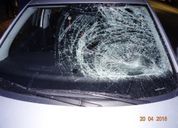 Пешеход-нарушитель и неопытная девушка-водитель встретились на дороге: мужчина попал в больницу