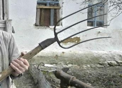 Управляющий конюшней на Ставрополье решил воспитать пьяного конюха с помощью вил