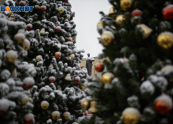 Главная елка Ставрополя засияет 19 декабря: старт праздника после 18 часов 