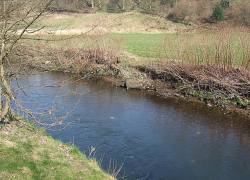На Ставрополье в реке Кума обнаружили человеческие скелетированные останки