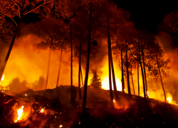 На Ставрополье сохраняется чрезвычайная пожароопасность