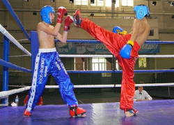 На «Кубке смелых волков» ставропольские кикбоксеры воочию увидели легенд русского рока