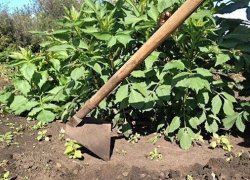 В Георгиевском районе сборщик металлолома изрубил тяпкой женщину, которая хотела отобрать его добычу