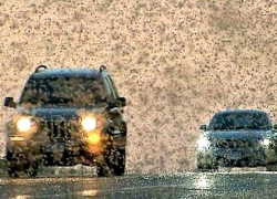 Режим ЧС из-за нашествия полчищ саранчи введен на территории Ставропольского края