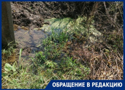 По колено в воде: расчистка русла Члы в Михайловске вызвала возмущение у местных жителей