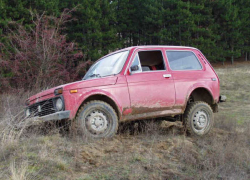 Угонщика авто задержали на Ставрополье