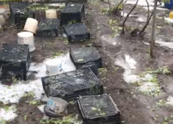 «Апокалипсис у нас был, картошечка полегла»: град и ливень добили жителей села на Ставрополье