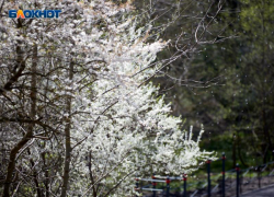 Погода поздравит ставропольцев с 1 мая 24-градусным теплом 