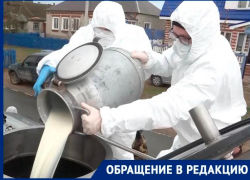 «Наш заработок сливают»: тысячи фермеров из Ставрополья возмущены понижением цены на молоко 
