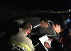 13 человек испытали шок при ночном столкновении с коровами на Ставрополье