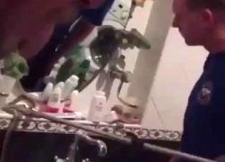 Змея заползла на умывальник в доме у жителей на Ставрополье