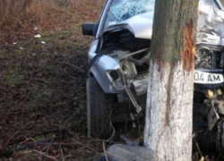 В Ставрополе "Калина" врезалась в дерево