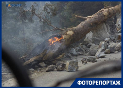 Кадры крупного лесного пожара под Домбаем показал фотограф из Ставрополя