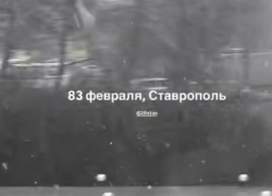 Зима в апреле: выпавший в Ставрополе снег попал на видео 