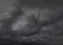 Ветер до 25 метров в секунду и дождь: какая погода будет на Ставрополье 7 декабря