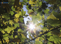 Пора убирать зимние куртки: синоптики пообещали потепление до +13 градусов на Ставрополье 14 февраля