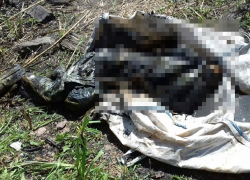 Труп неизвестного мужчины обнаружили спасатели в болоте на Ставрополье 