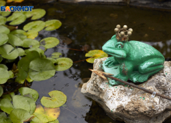 Еще один дождливый день и температуру до +15 градусов пообещали синоптики ставропольцам 16 октября