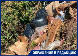 «Мухи, полная антисанитария»: горы мешков с тухлым мясом выбросили у жилых домов в Ставрополе 