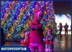 В Ставрополе весело и ярко отметили Старый Новый год